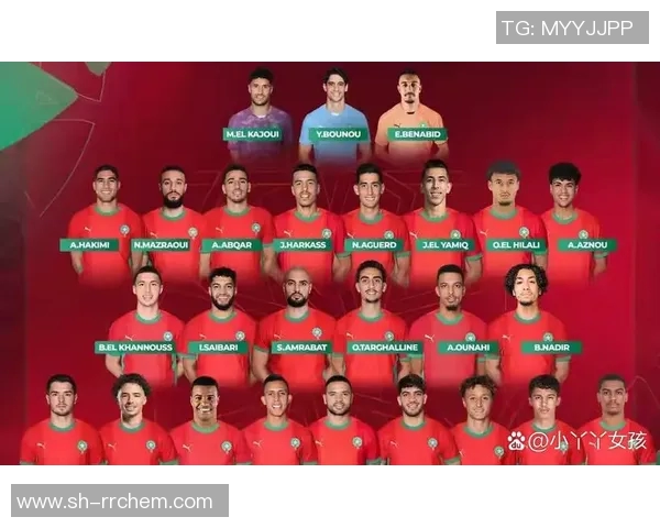 科特迪瓦与南非国家队大名单详细解析及球员表现分析